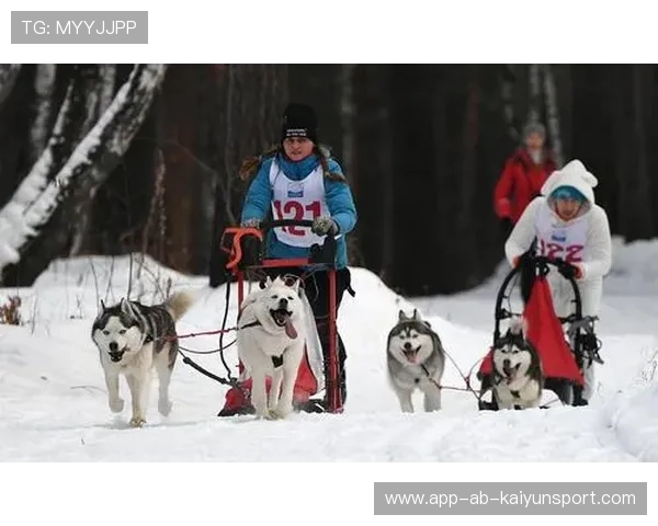 雪橇锦标：俄罗斯队稳居金牌榜，冲击纪录已在眼前！，俄罗斯雪橇犬